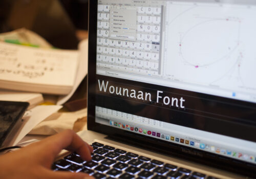 proyecto wounaan